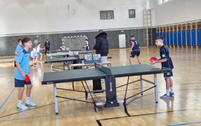 Natjecanje u stolnom tenisu
