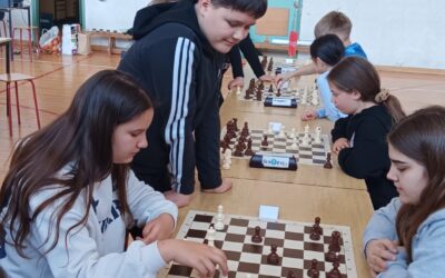 Županijsko natjecanje u šahu