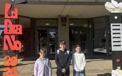 Županijska razina smotre LiDraNo 2026.